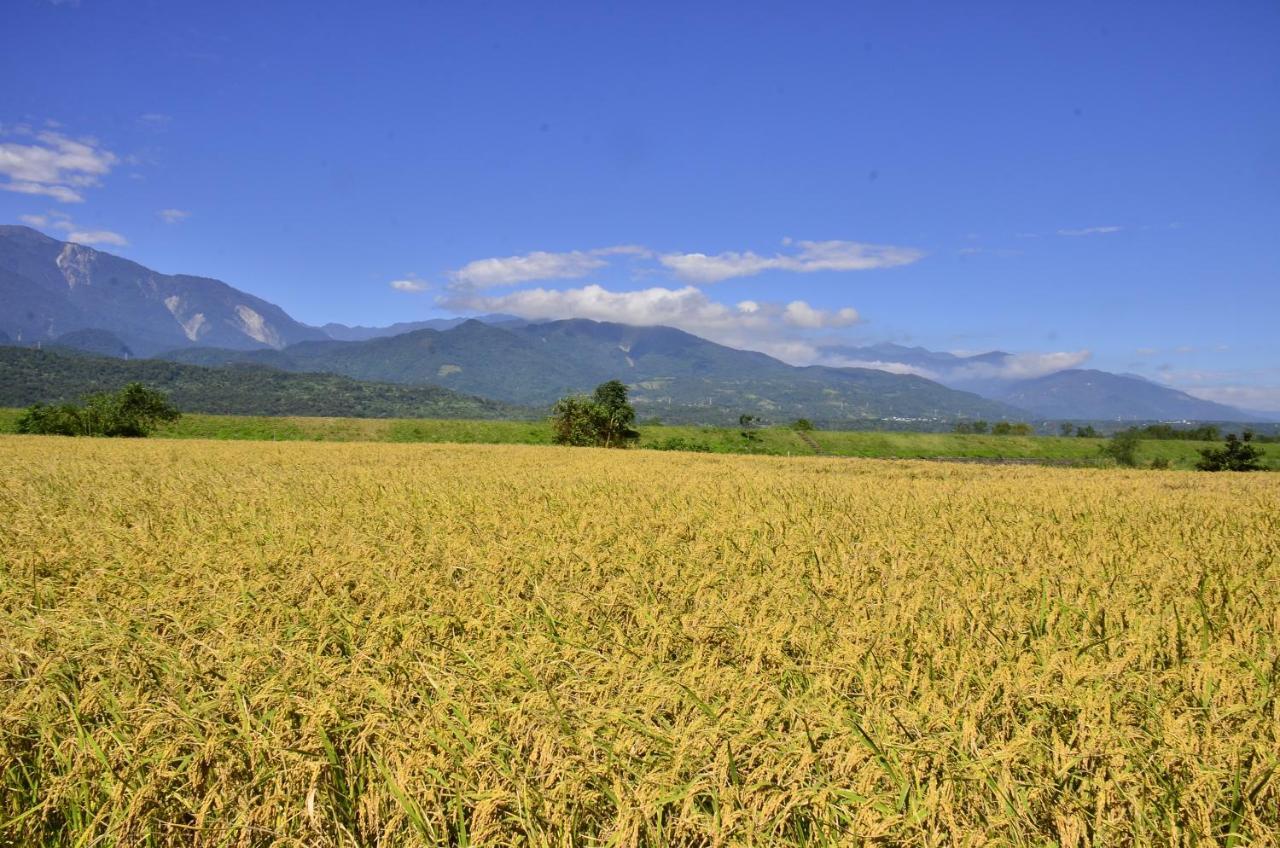 Apartamento 八畝田 Bamutian Farmland 8 Mu Yuli Exterior foto